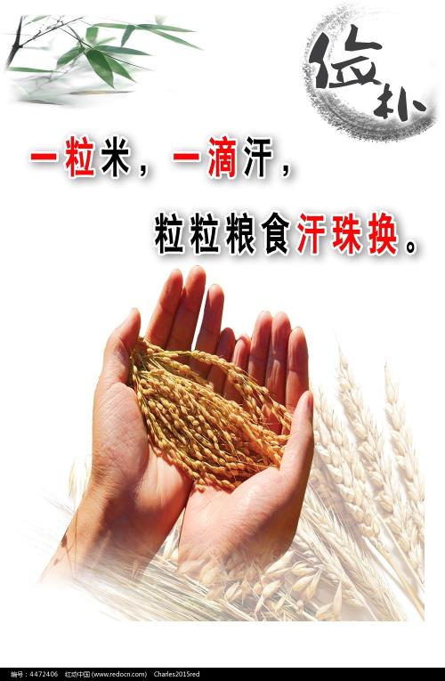 俄罗斯白卡怎么买高仿